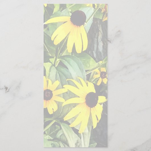 Menu Margarites à Oeil Noir Près d'un Mur de Pierre (Dos)