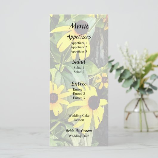 Menu Margarites à Oeil Noir Près d'un Mur de Pierre (Debout devant)