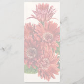 Menu Marguerites Gerbera Rouges (Dos)