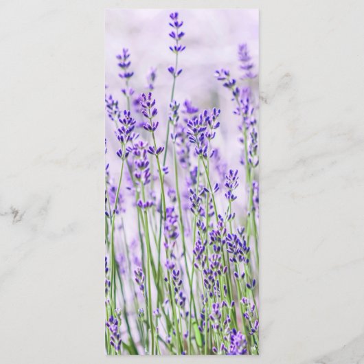 Menu Mariage Champs Lavender (Dos)