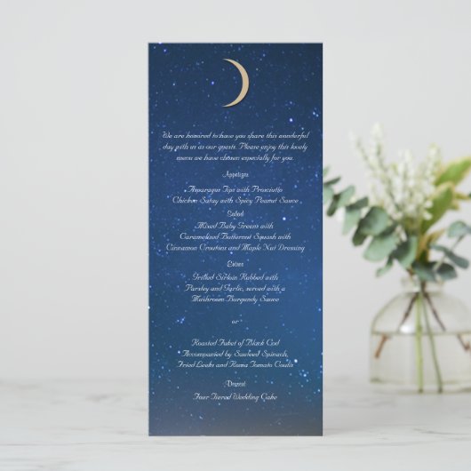 Menu Mariage de nuit étoilée (Debout devant)