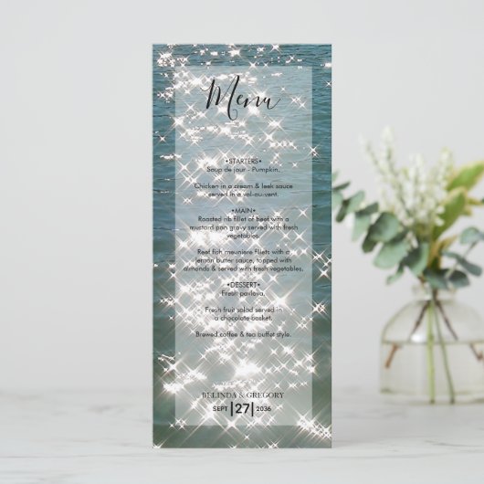 Menu Mariage d'eau de mer de plage (Debout devant)