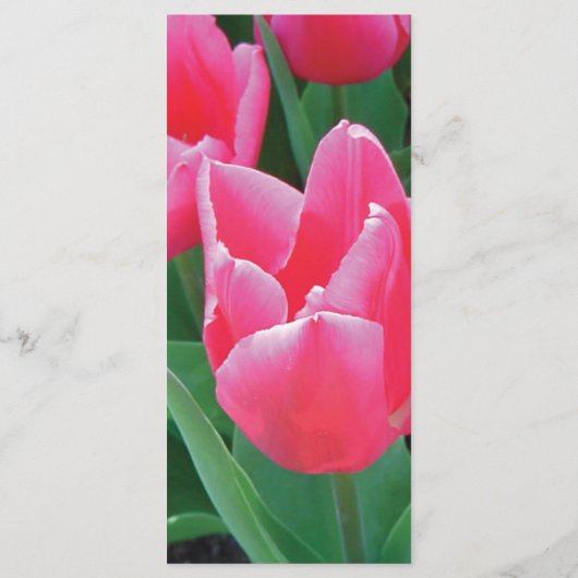 Menu Mariage élégant de tulipes roses (Dos)