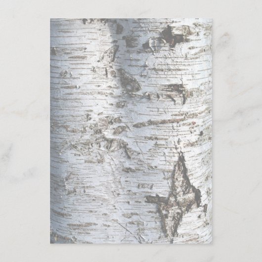Menu Mariage Rustic Silver Birch Tree (Dos)