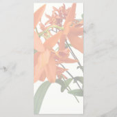 Menu Orchidée Epidendrum Orange (Dos)