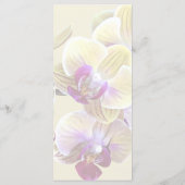 Menu Orchidées Pale Yellow et Magenta Phalaenopsis (Dos)