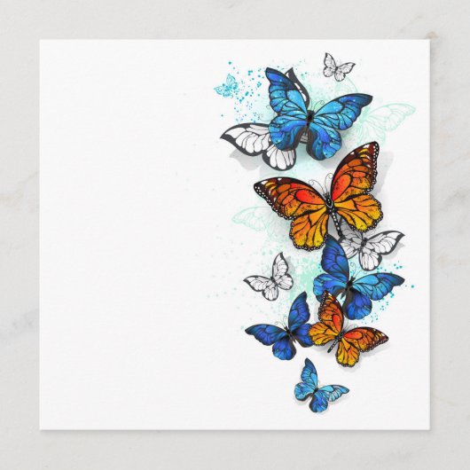 Menu Papillons volants Morpho et Monarch (Devant)