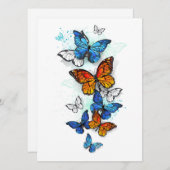 Menu Papillons volants Morpho et Monarch (Devant / Derrière)