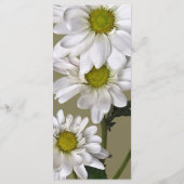 Menu Petite Marguerite qui regarde vers le haut (Dos)