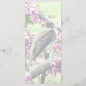 Menu Phoebe dans un arbre Redbud (Dos)