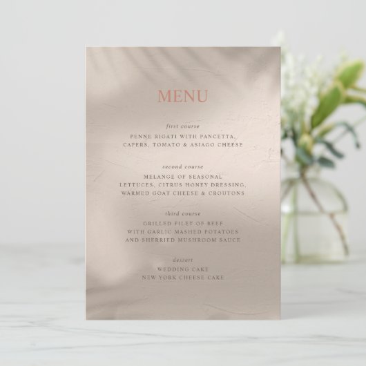 Menu Terre cuite et sable élémentaire (Debout devant)