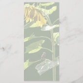 Menu Tournesol et Épervier (Dos)