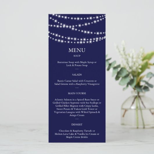 Menu Twinkle Lights (marine) (Debout devant)