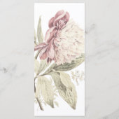 Menu Vintage Peony Botanical Fine Art Mariage (Dos)