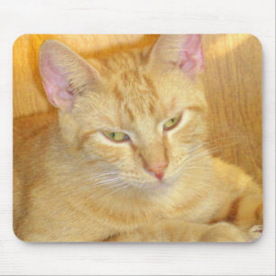 Meow Cat 15 Mousepad Muismat