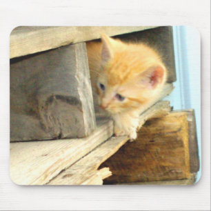 Meow Cat 1 MousePad Muismat
