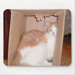 Meow Cat 31 Mousepad Muismat