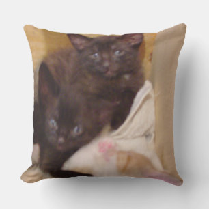 Meow Cat 38 Square Sierkussen