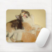 Meow Cat 5 Mousepad Muismat (Met muis)