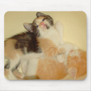 Meow Cat 5 Mousepad Muismat