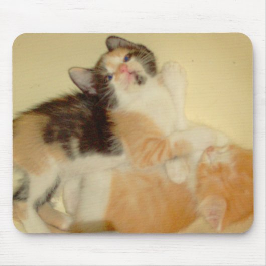 Meow Cat 5 Mousepad Muismat (Voorkant)