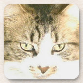 Meow Cats 14 Dessous de verre (Devant)