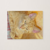 Meow Cats 15 Puzzle (Horizontal)