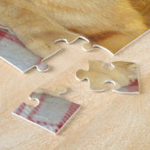 Meow Cats 15 Puzzle (Côté)