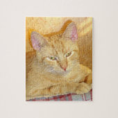 Meow Cats 15 Puzzle (Vertical)