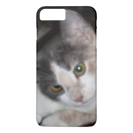 Meow Cats 17 iPhone cases (Achterkant)