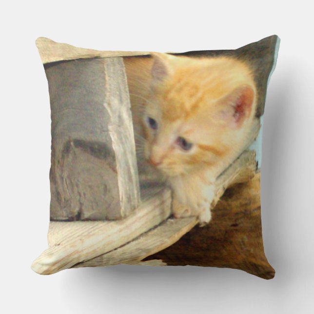 Meow Cats 1 Oreiller à lancer Carré (Recto)