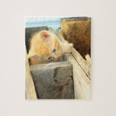 Meow Cats 1 Puzzle (Vertical)