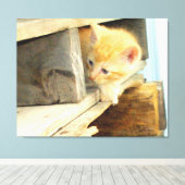 Meow Cats 1 Toile Enveloppée (Insitu (Plancher de Bois))