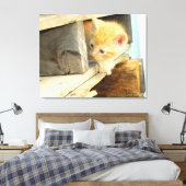 Meow Cats 1 Toile Enveloppée (Insitu(Chambre))