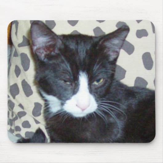 Meow Cats 20 Muismat (Voorkant)