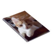 Meow Cats 22 Carnets (Côté Droit)