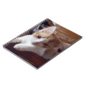 Meow Cats 22 Carnets (Côté gauche)