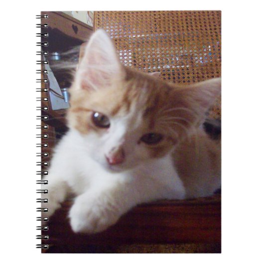 Meow Cats 22 Carnets (Devant)
