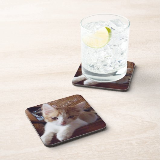 Meow Cats 22 Dessous de verre (Côté Droit)