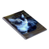 Meow Cats 24 Carnets (Côté Droit)