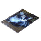 Meow Cats 24 Carnets (Côté gauche)