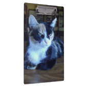 Meow Cats 24 klembord (Rechts)