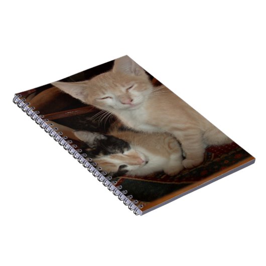 Meow Cats 28 Carnets (Côté Droit)