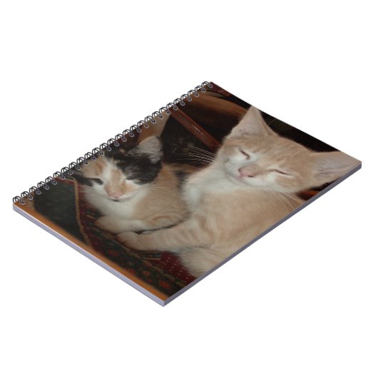 Meow Cats 28 Carnets (Côté gauche)