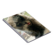 Meow Cats 2 Carnet (Côté Droit)