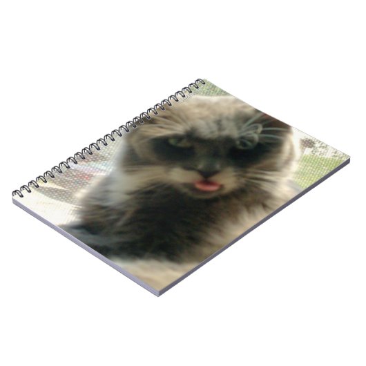 Meow Cats 2 Carnet (Côté gauche)