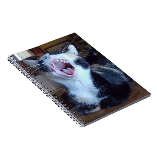 Meow Cats 30 Carnets (Côté Droit)