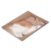 Meow Cats 31 Carnet (Côté gauche)