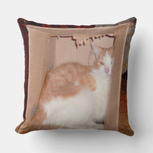 Meow Cats 31 Oreiller à lancer Carré