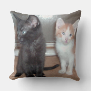 Meow Cats 32 Square Sierkussen